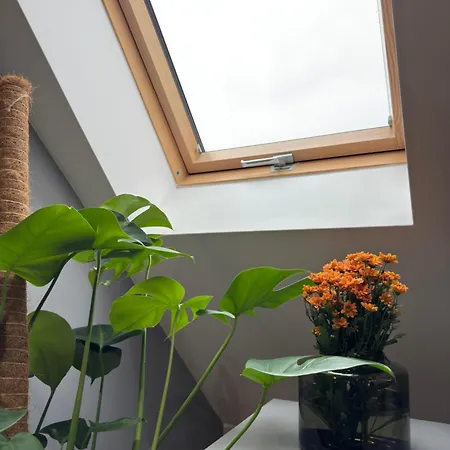 Apartmán Fyrtel