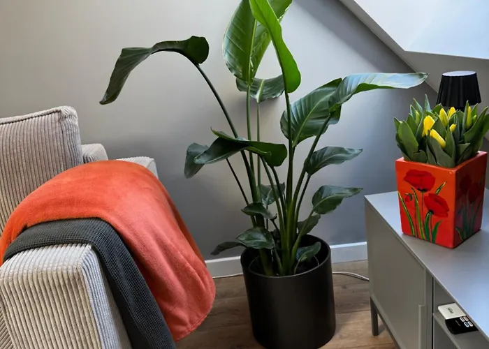 Apartment Fyrtel Posen